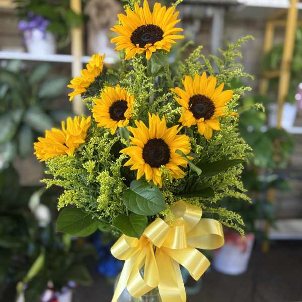 Sunflower Love