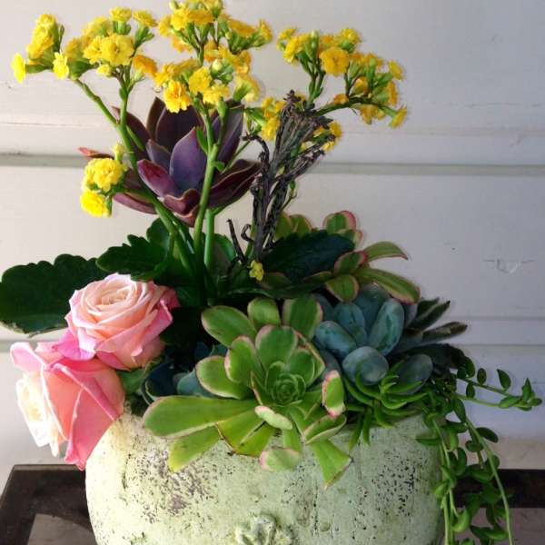Planters