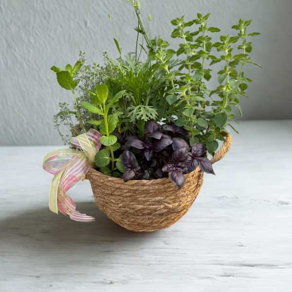 Herb Garden