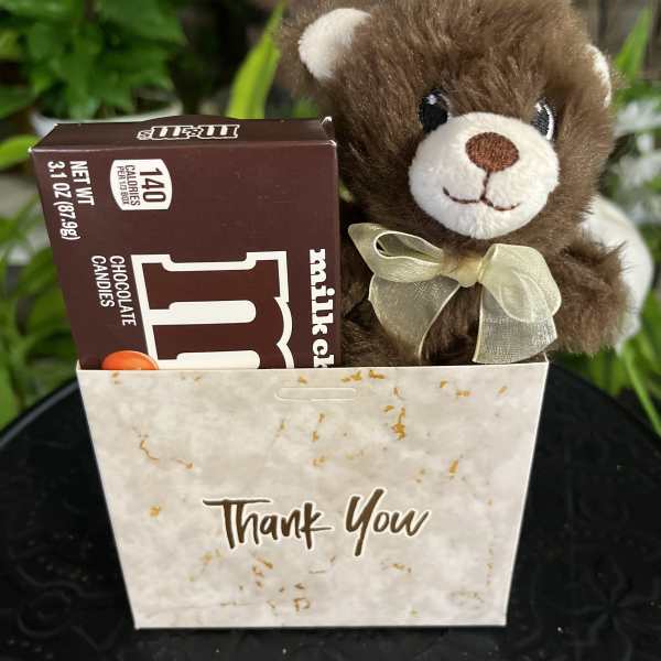 Gift bag with a teddy bear and a box of M&M's chocolate candies