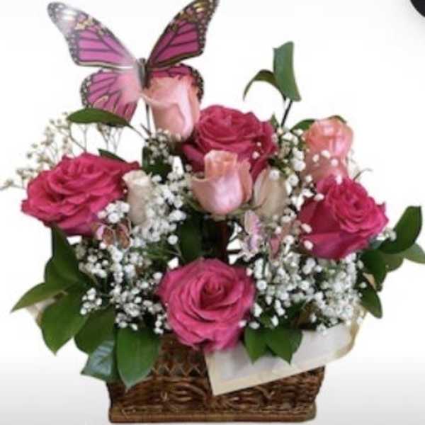Basket Arrangement