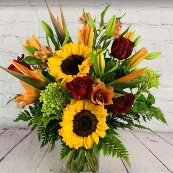 Girasoles