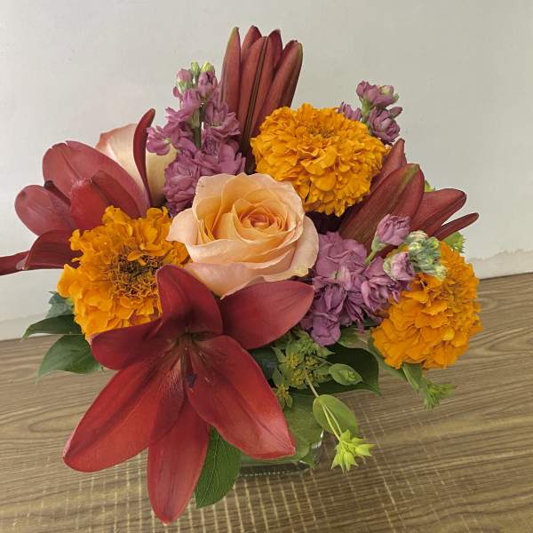 A SOLO MIO