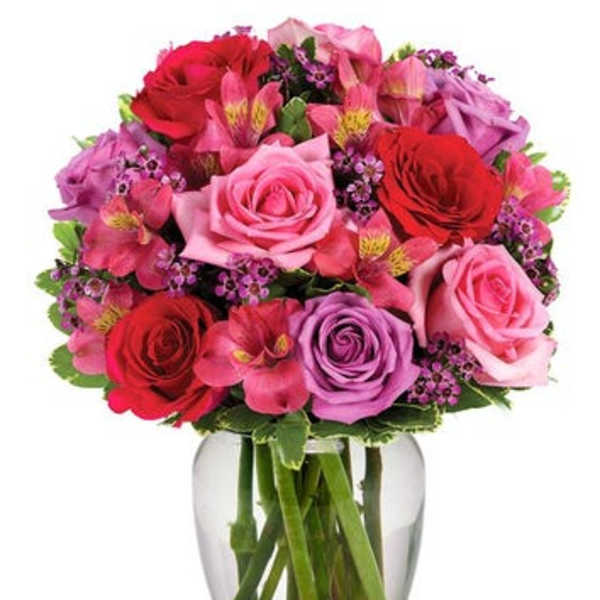 Stunning Brights