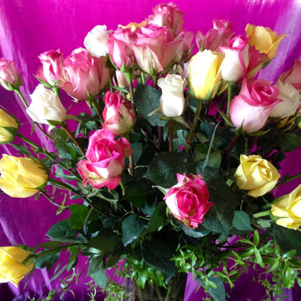 50 Roses