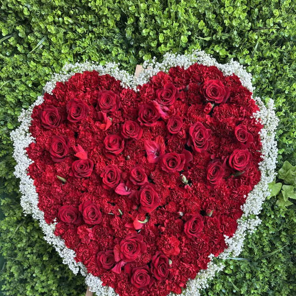 Solid heart
