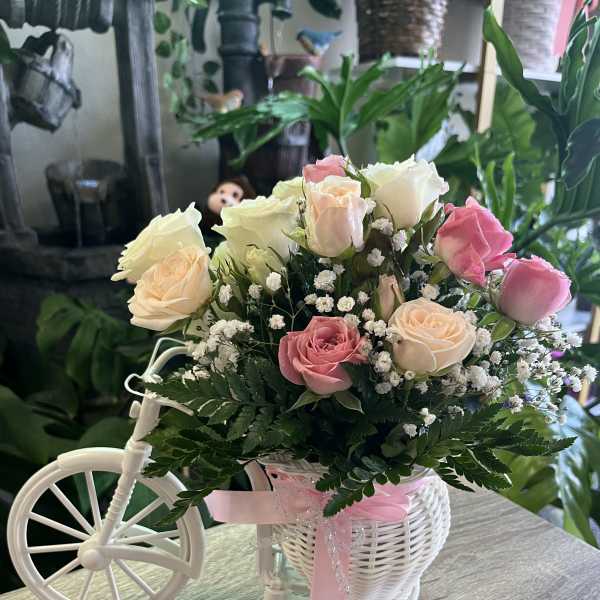Pink and cream roses in a white tricycle basket with a pink ribbon