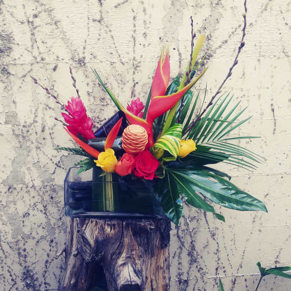 Tropical Escape