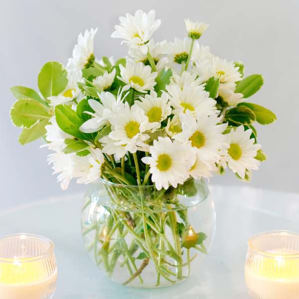 Peace Daisy Bouquet