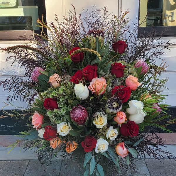 Protea floor spray