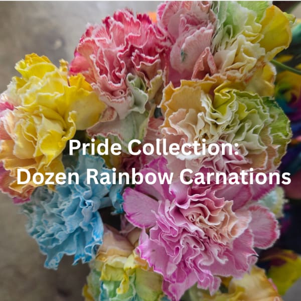 Pride Collection: Dozen Rainbow Carnations