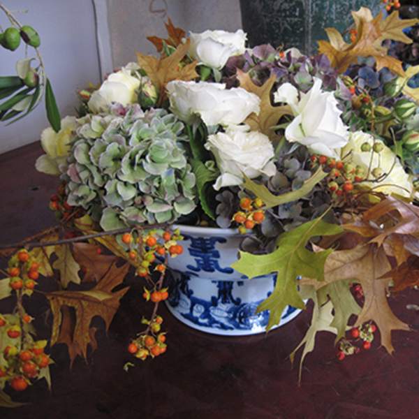 Garden Roses