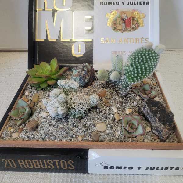 Romeo Cigar Box