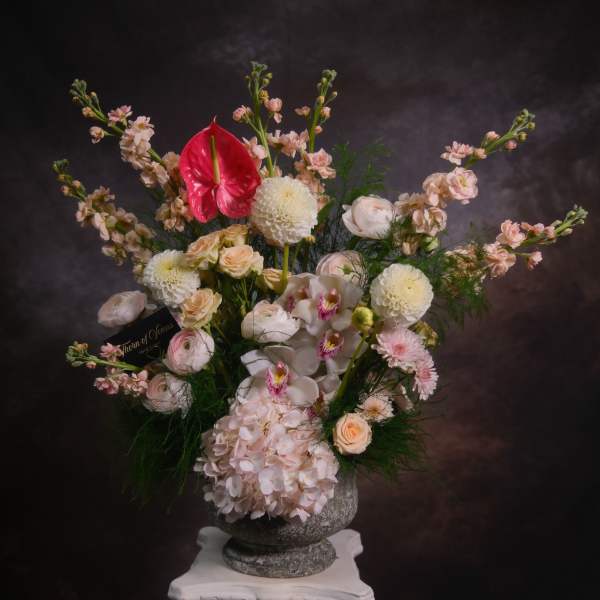 The Rose Bloom