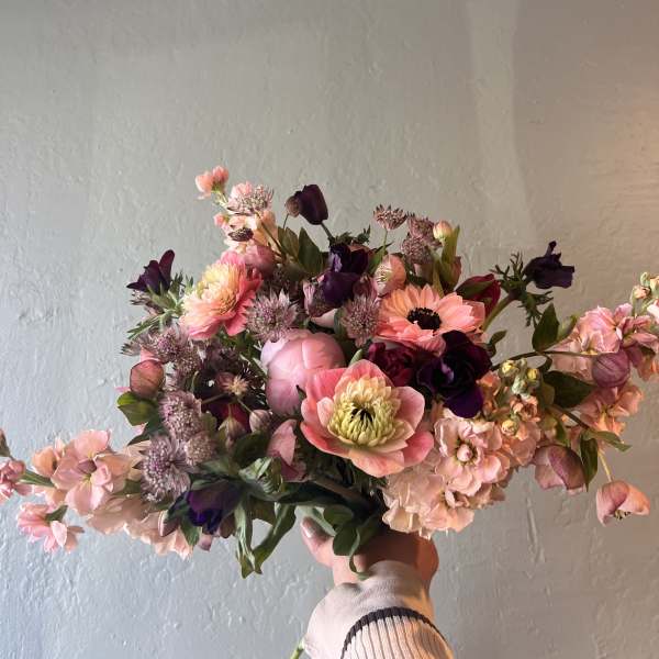 Belle Rosée