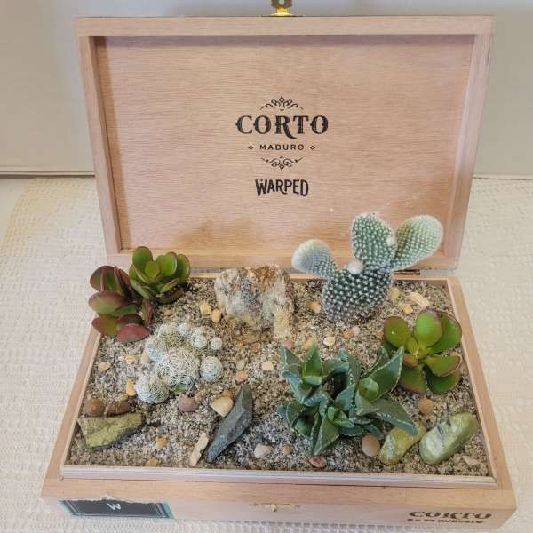 Corto Madero Cigar Box