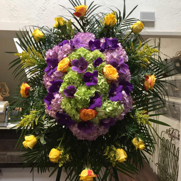 Vanda Surprise