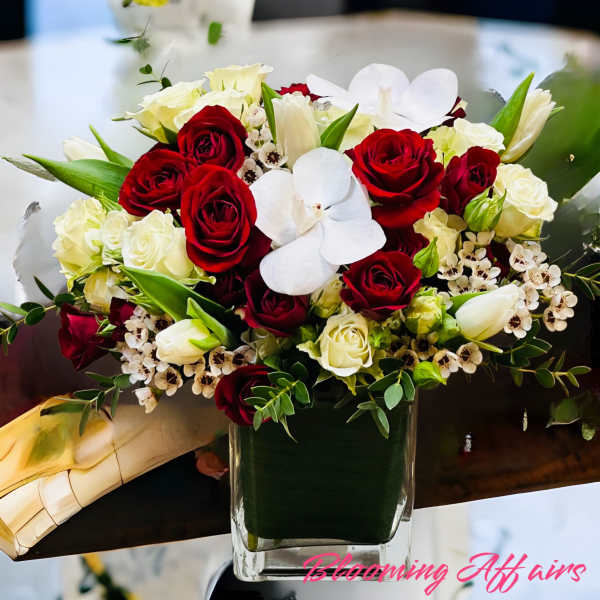 Bloom0109