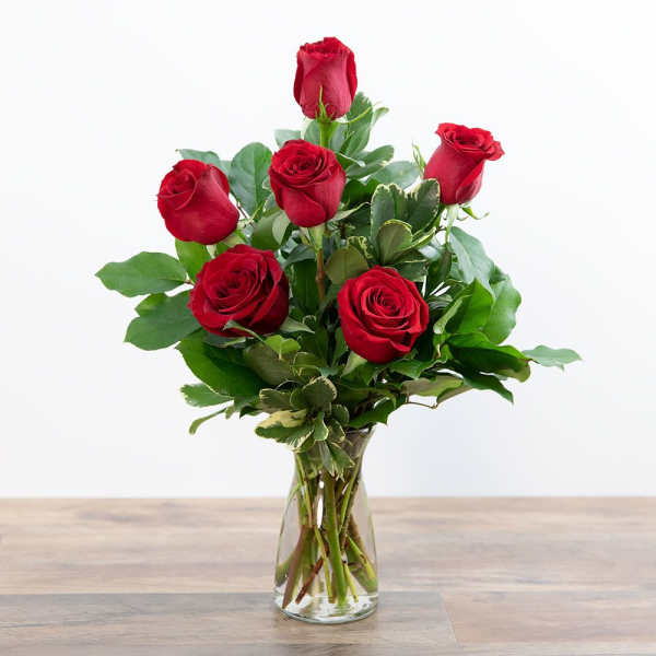 6 red roses