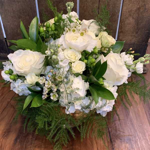 Elegant Whites