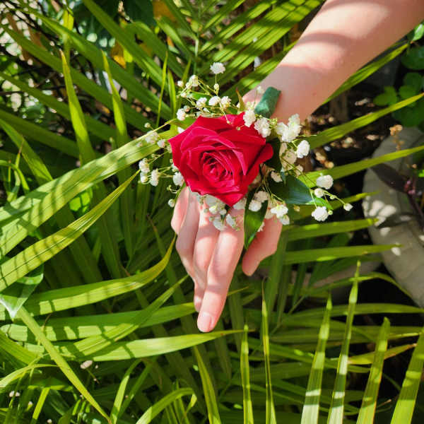 Red rose wrist corsage with white baby's breath on a person's wrist