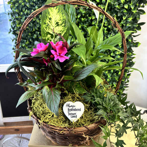 Sympathy Plant Basket