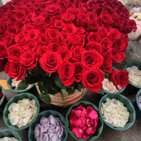 Large bouquet of red roses in a gold vase with white hydrangeas behind it