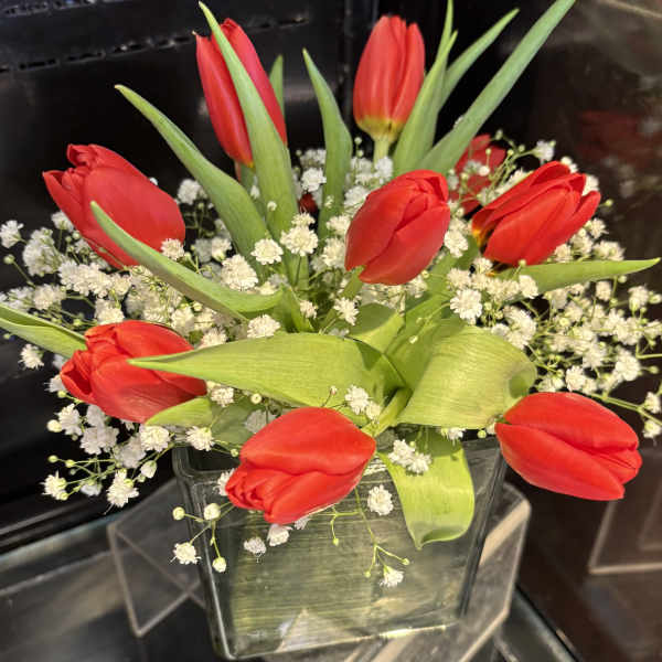 Happy tulips