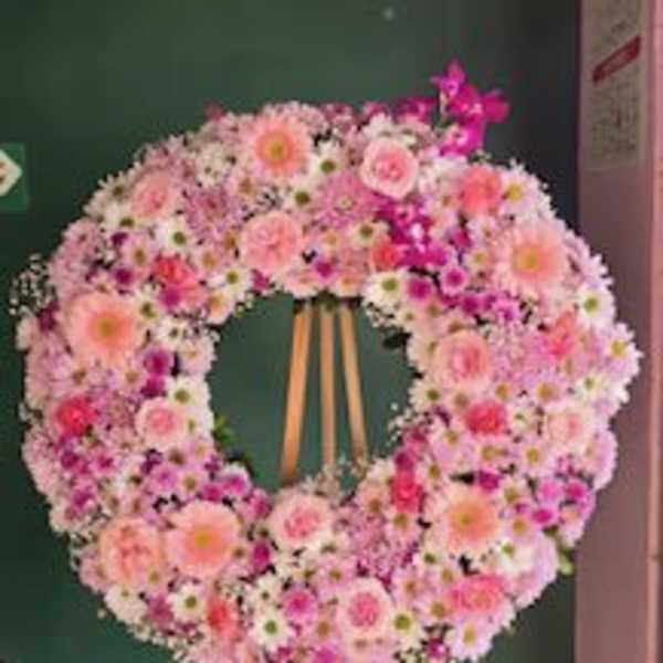 corona rosa