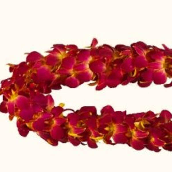 Red flower lei made of clustered blossoms on a white background