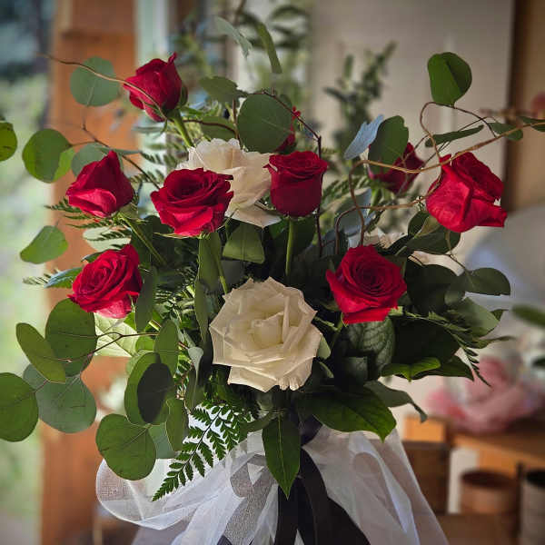 Midnight & Roses