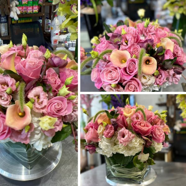 HARMONY PINK