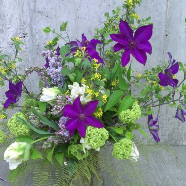 Spring Sprung