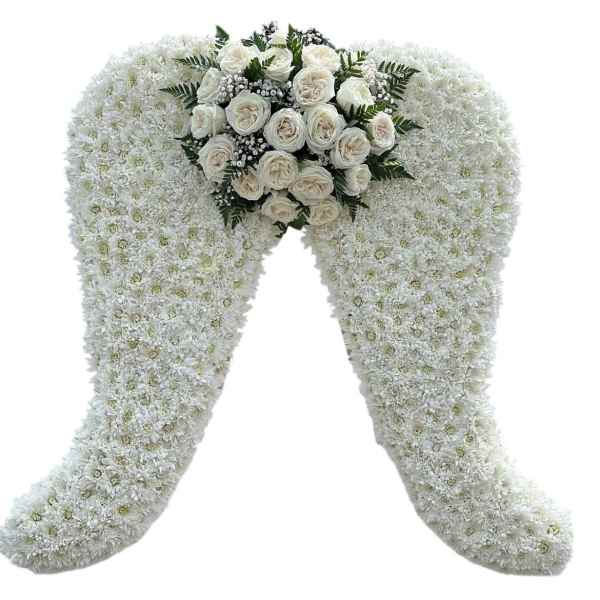 Modern Angel Wings