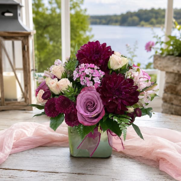 LIMITED EDITION: Dahlia Dreams