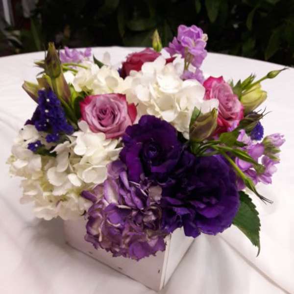 Lavender Love