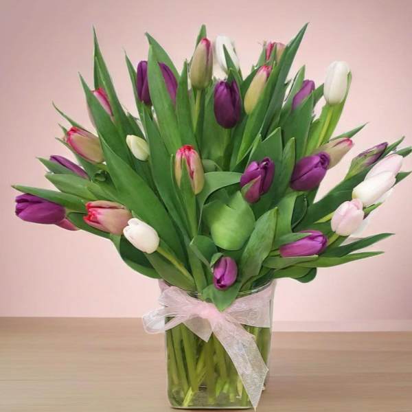 vidrio tulipan