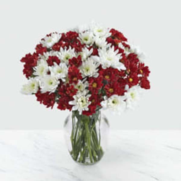 Holiday Poms Blooms