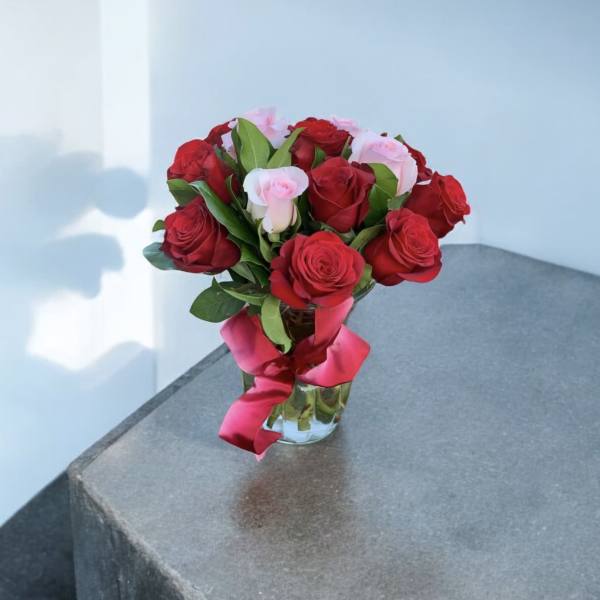 Pink and Red Roses