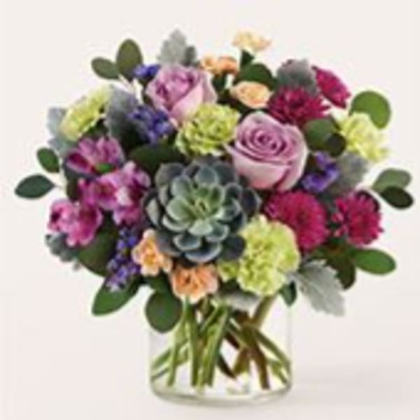 Botanical Dream