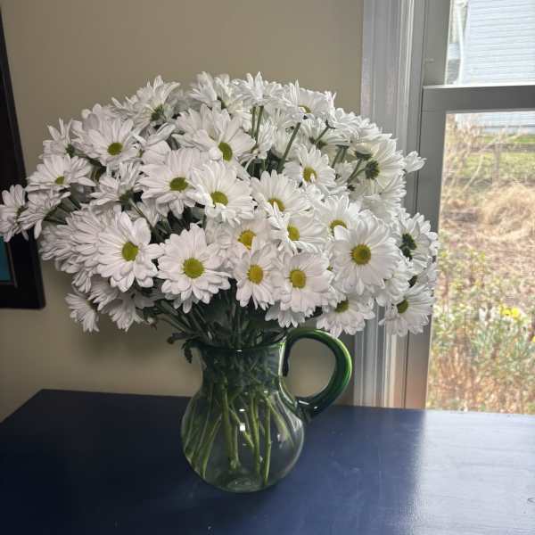 Blooming Pitcher