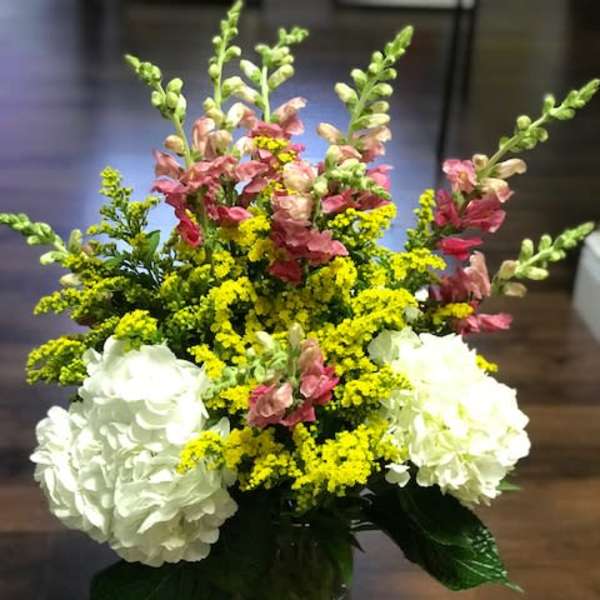 Elegant Hydrangea