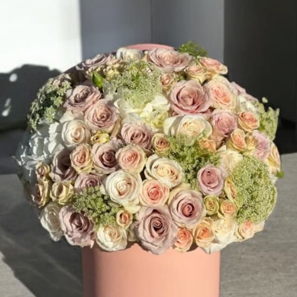 Pastel Box