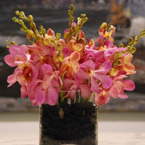 Pink Mokaras