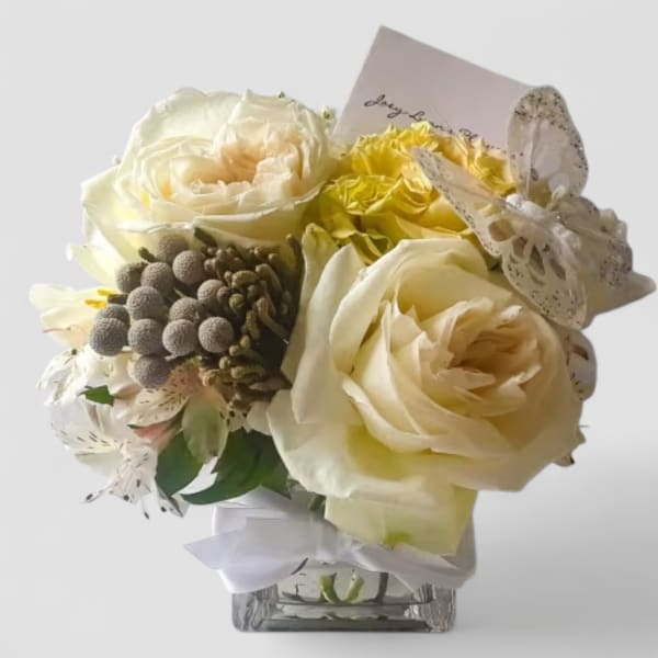 Compact cream and yellow rose arrangement with alstroemeria in a glass cube vase with ribbon, card, and butterfly pick