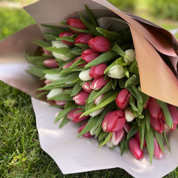 Spring Hug