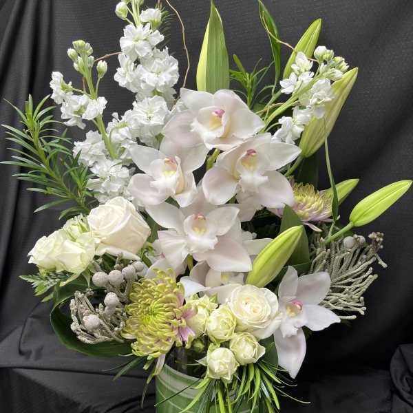 White Orchid