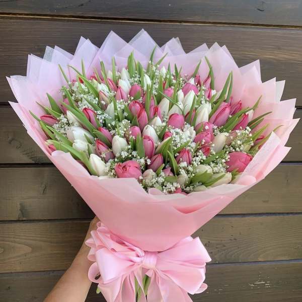 Tulip lovers choice