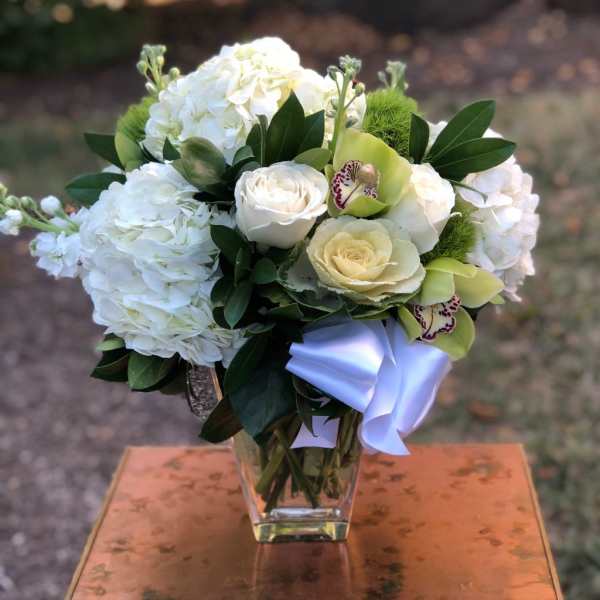 Hydrangea Blooms