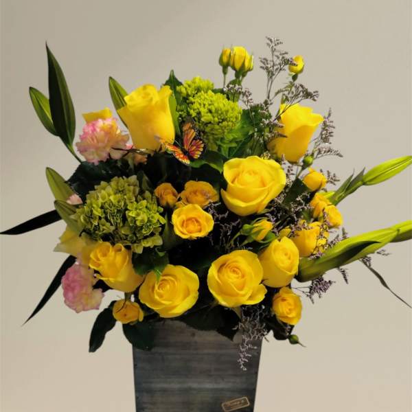 Sun Shiny Days